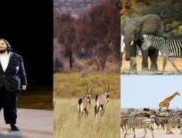 नामीबिया में जंगली जानवरों को बचाने के लिए आगे आई अनंत अंबानी की ‘वनतारा’, चल रही है बड़ी प्लानिंग