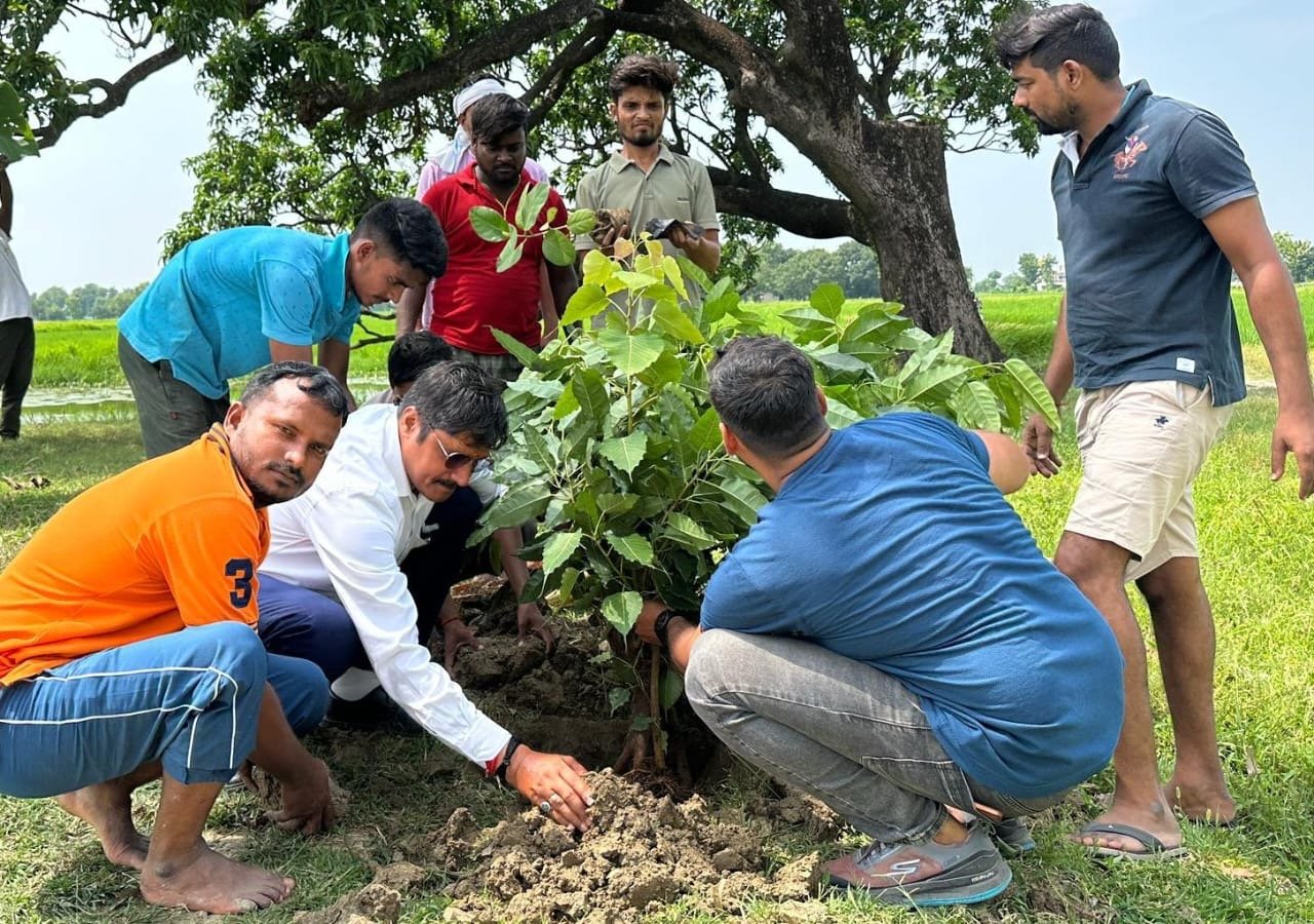 गांव के युवाओं ने तलाब के किनारे लगाया पीपल के पौधे