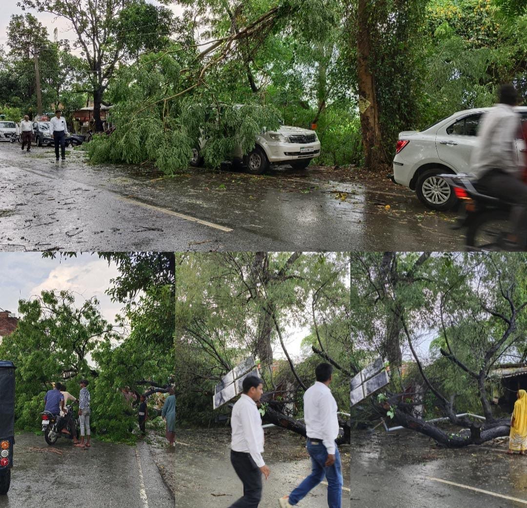 महज 20 मिनट के बरसाती तूफान ने उठाड़ दिए खजनी तहसील परिक्षेत्र के दर्जनों बृक्ष