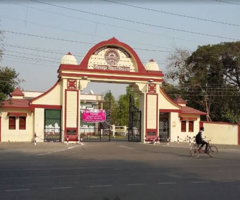 गणित और सांख्यिकी विभाग में 2024