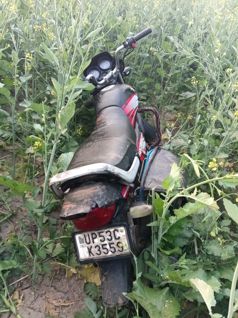 सरसो के खेत में लावारिस हालत में मिली बाइक, पुलिस ने लिया कब्जे में
