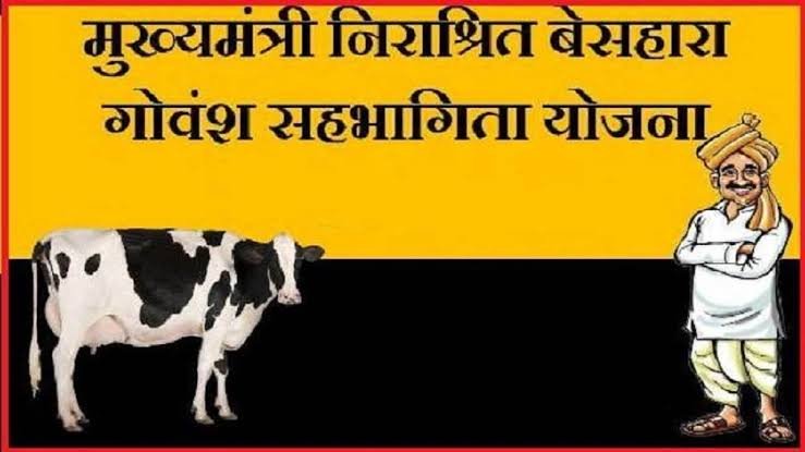योगी सरकार की संजीदगी से संरक्षित हो रहे बेसहारा गोवंश
