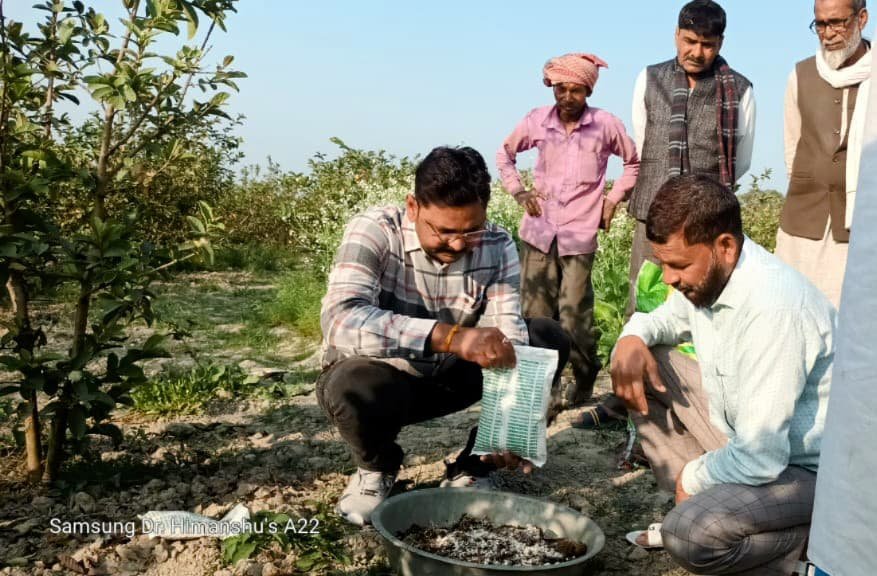 महाकुम्भ के बाद अब संगम की रेती उगलेगी सोना, पांच लाख प्रतिमाह कमाई का अवसर