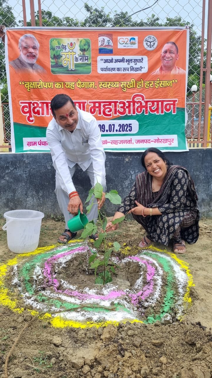 पौधारोपण महाभियान के तहत गांवों में लगाए गए पौधे
