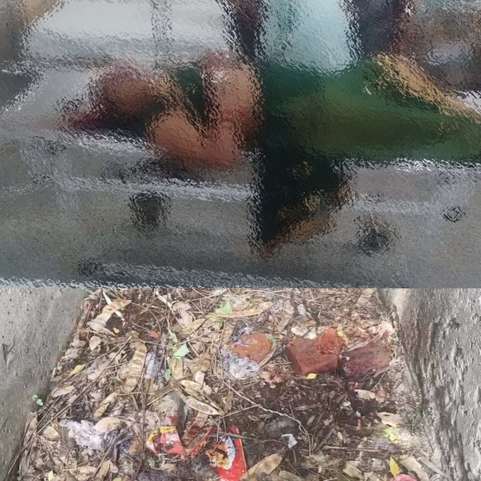 बीआरसी कैंपस में मिली गंभीर रूप से घायल अज्ञात महिला, सिर पर गंभीर चोट, दुष्कर्म की आशंका, इलाज के लिए भेजी गई बीआरडी 