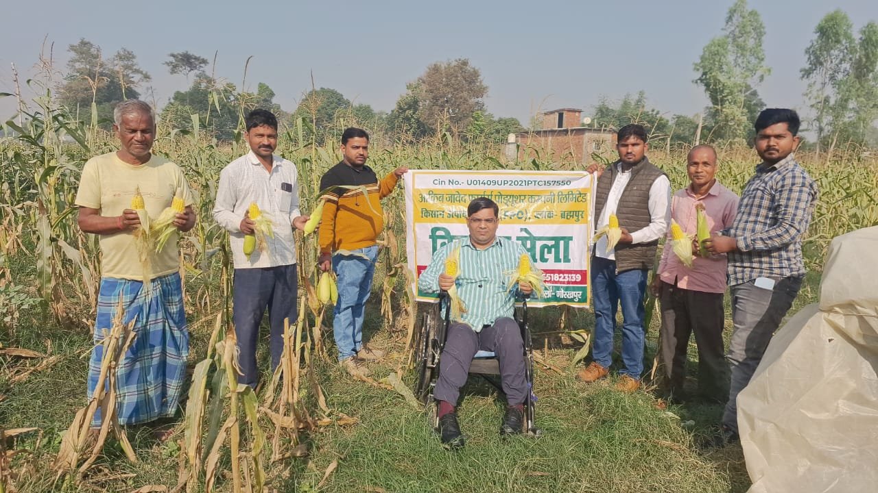 स्वीट कॉर्न की खेती से दोगुनी हो रही किसानों की आय