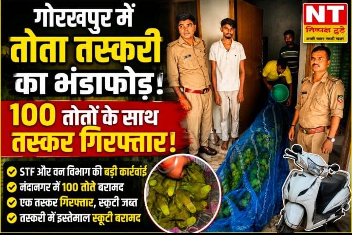 गोरखपुर में तोता तस्करी का भंडाफोड़, STF और वन विभाग की बड़ी कार्रवाई